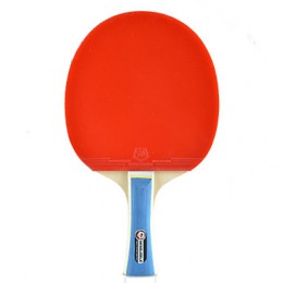 Winmaxs? 1 Pcs 2 Stars Table Tennis Racket Long Handle with A Color Packing Box